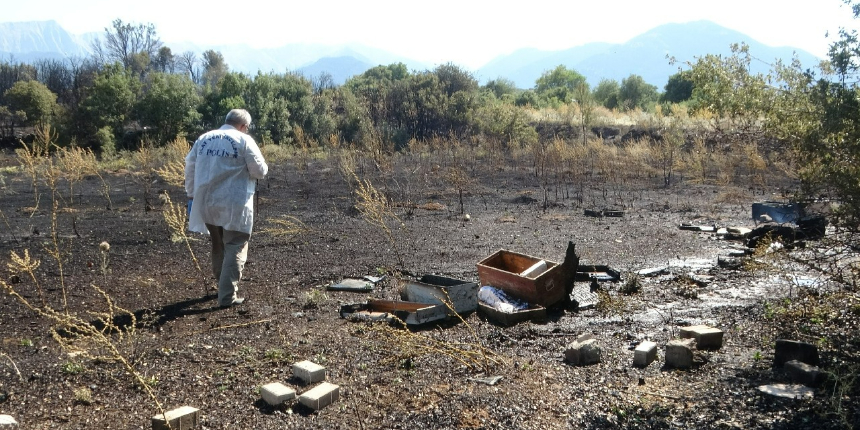 Örtü yangınında arı kovanları ve ağaçlar küle döndü