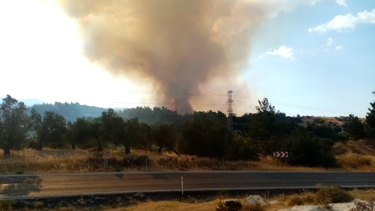 Dikili'deki yangın 8 saat sonra kontrol altına alındı