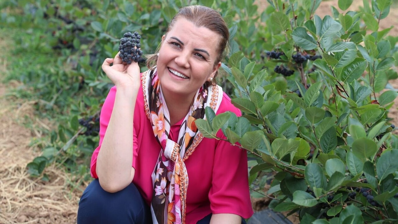 Onun adı süper meyve! Kansere savaş açıyor, faydaları saymakla bitmiyor