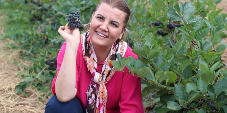 Onun adı süper meyve! Kansere savaş açıyor, faydaları saymakla bitmiyor