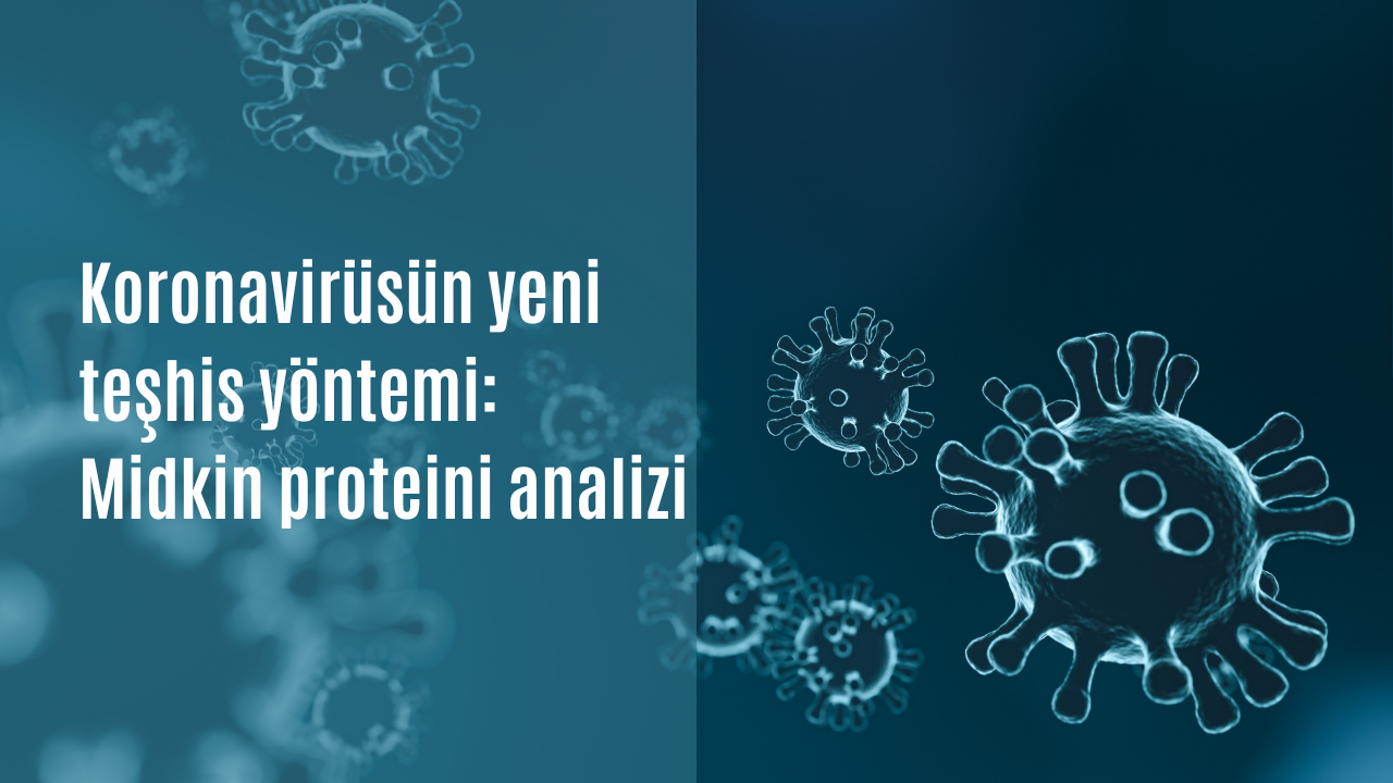 Koronavirüsün yeni teşhis yöntemi: Midkin proteini analizi