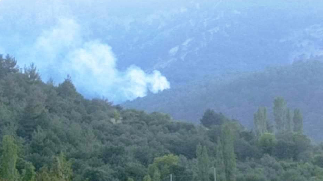 Aydın’da orman yangını! Havadan ve karadan müdahale sürüyor