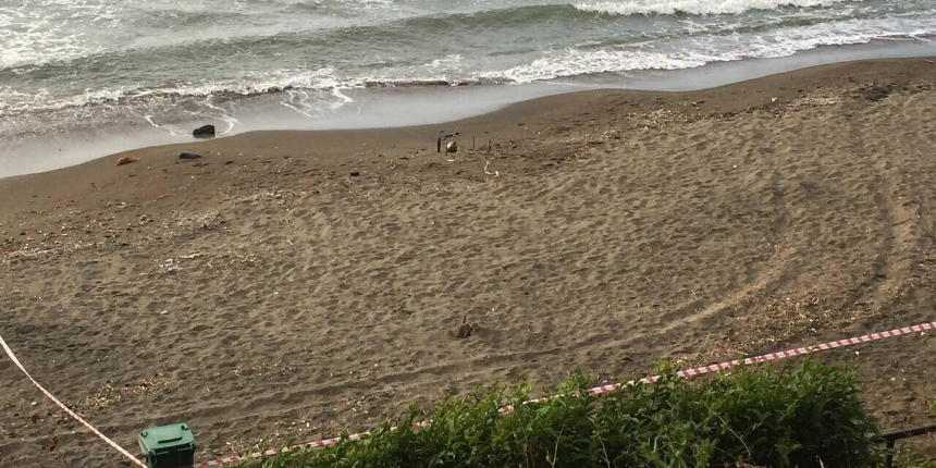 Ordu sahiline vuran Rus yapımı mayın tetikleyicisi vatandaşlar tarafından bulundu!
