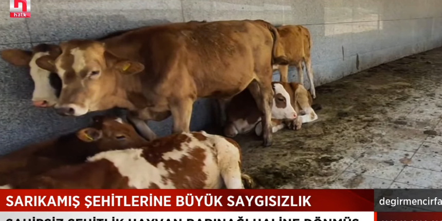 Aile ve Sosyal Hizmetler Bakanlığı, Sözcü ve Halk TV'nin Sarıkamış şehitliği haberini yalanladı