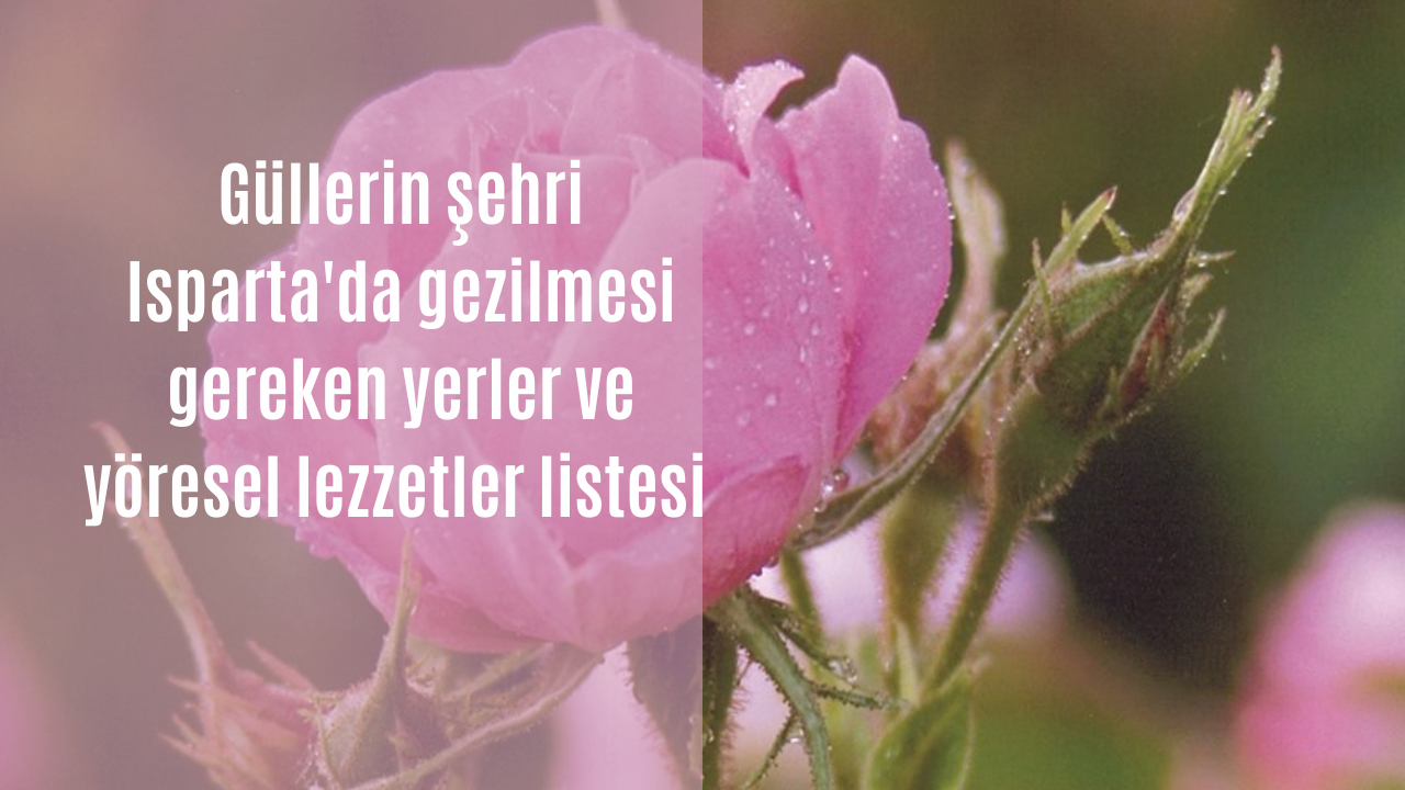 Güllerin şehri Isparta’da görülmesi gereken yerler ve yöresel lezzetler listesi