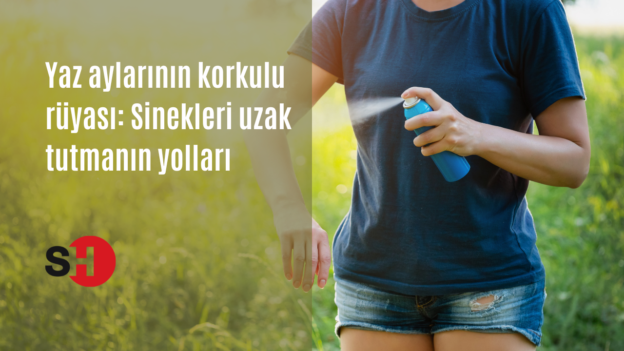 Yaz aylarının korkulu rüyası: Sinekleri uzak tutmanın yolları