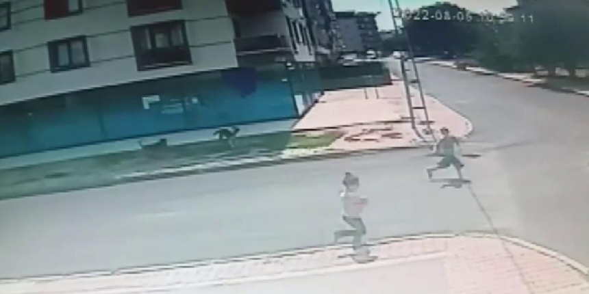 Sultanbeyli’de başıboş sokak köpeklerinin küçük çocuklara saldırısı kamerada