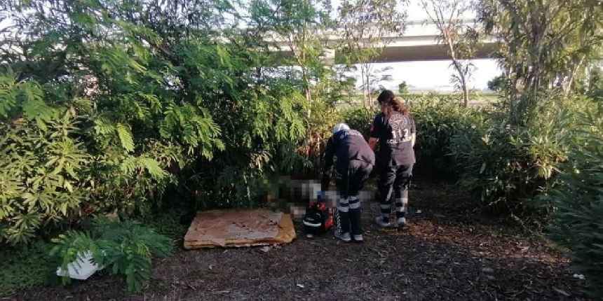 Köpeğin havlaması, korkunç gerçeği ortaya çıkardı!