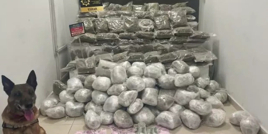 Diyarbakır'dan İstanbul'a zehir taşıyan tacirlere operasyon! 107 kilo skunk ele geçirildi...