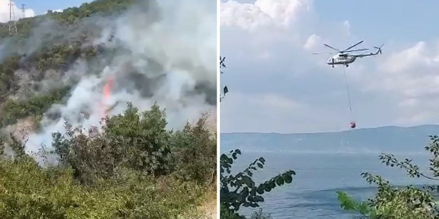 Kocaeli'de orman yangını: Bir kişi gözaltına alındı