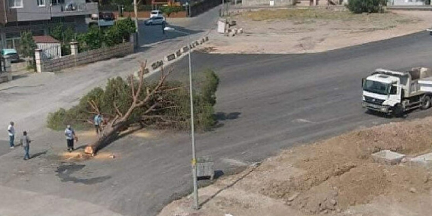 AK Parti'den İzmir Büyükşehir Belediyesine ağaç kesme tepkisi