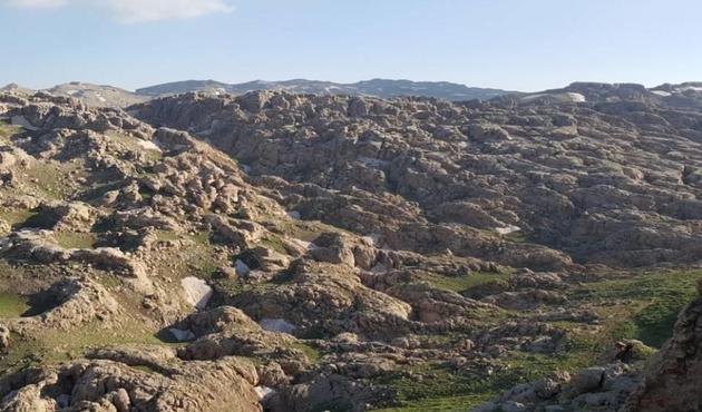 PKK'ya Hakkari ve Siirt'te darbe! Topçu ateşi ile öldürüldüler...