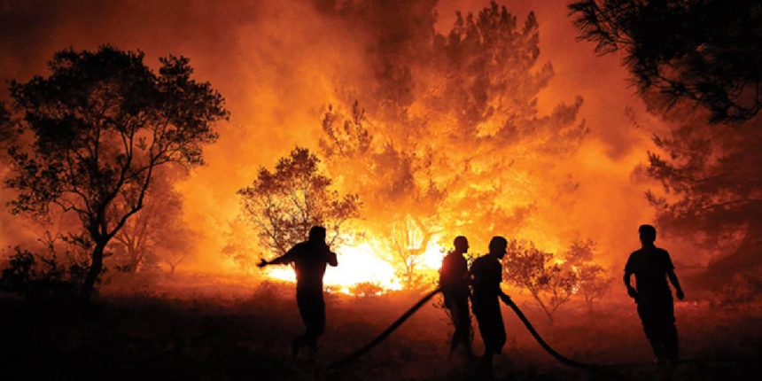 Orman yangınlarını önlemek, söndürmekten daha kolay