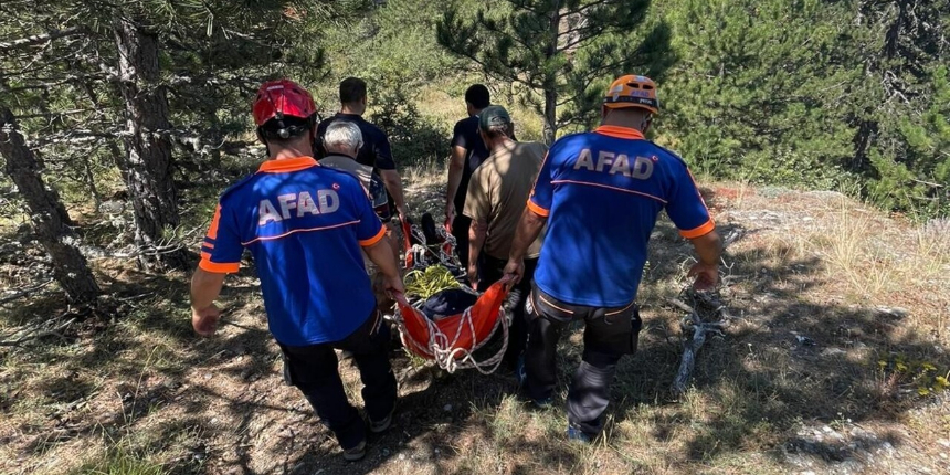 Doğa yürüyüşü ve piknik için çıkmıştı! Yaşlı adam gittiği ormanda hayatını kaybetti