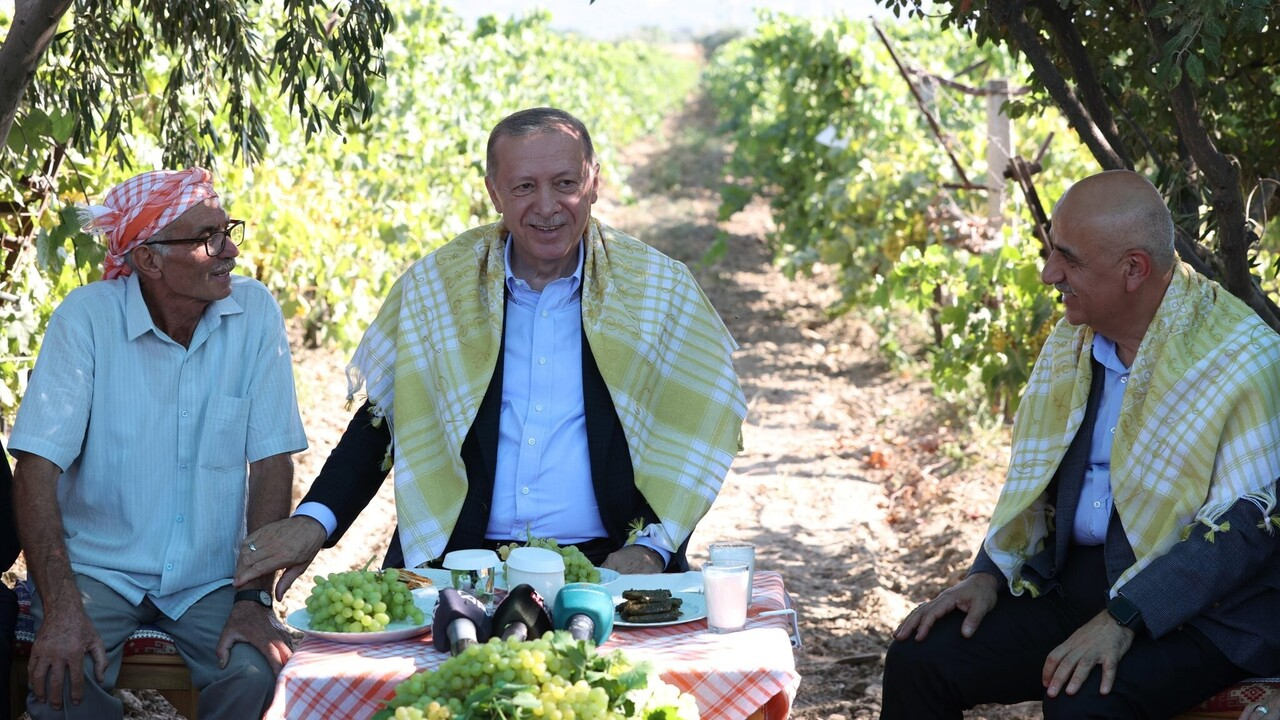 Cumhurbaşkanı Recep Tayyip Erdoğan Manisa'da üzüm hasadına katıldı