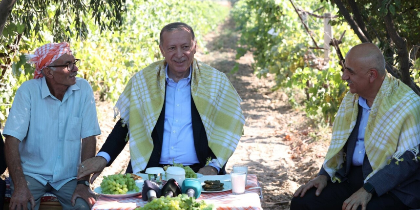 Cumhurbaşkanı Recep Tayyip Erdoğan Manisa'da üzüm hasadına katıldı