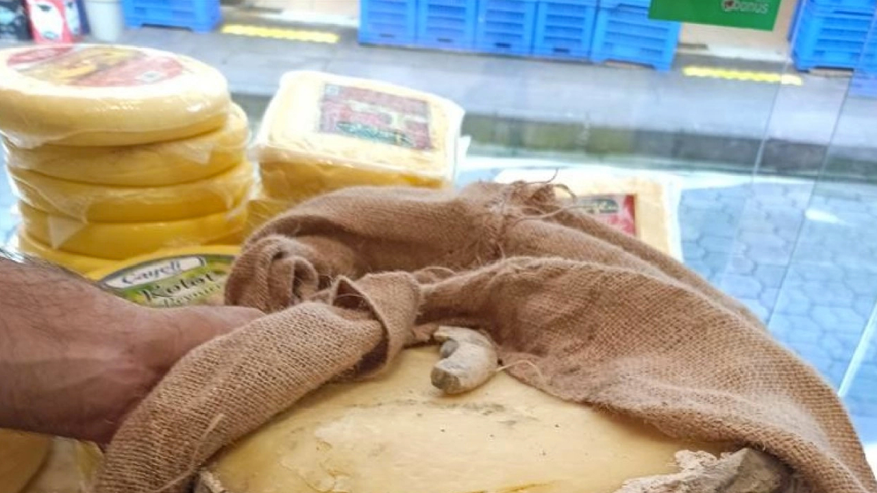 Çayeli Koloti Peyniri coğrafi işaret alarak tescillendi
