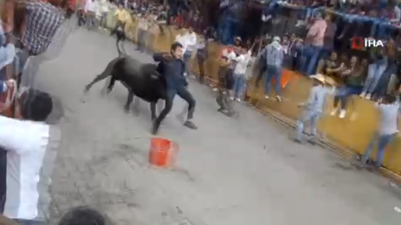 Meksika’daki boğa koşusunda 3'ü ağır 9 kişi yaralandı