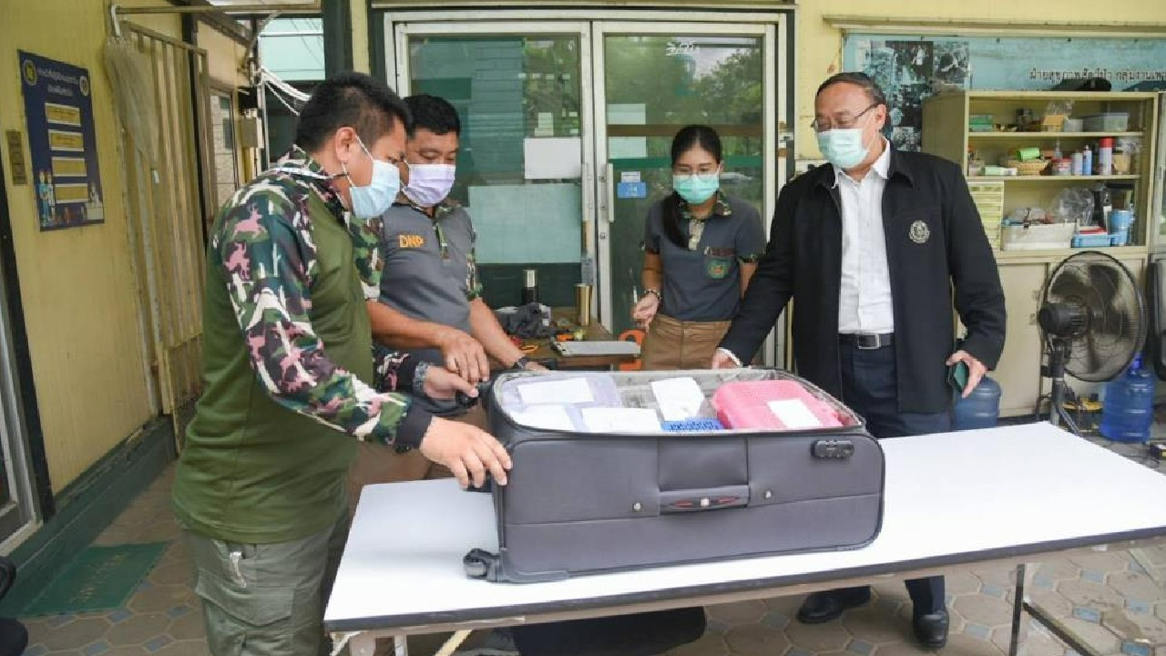 Tayland’dan Hindistan’a giden yolcunun bavulundan 17 adet canlı hayvan çıktı