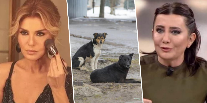 "Havrita" kavgası sürüyor... Sevilay Yılman: En büyük sorun Gülben Ergenler!