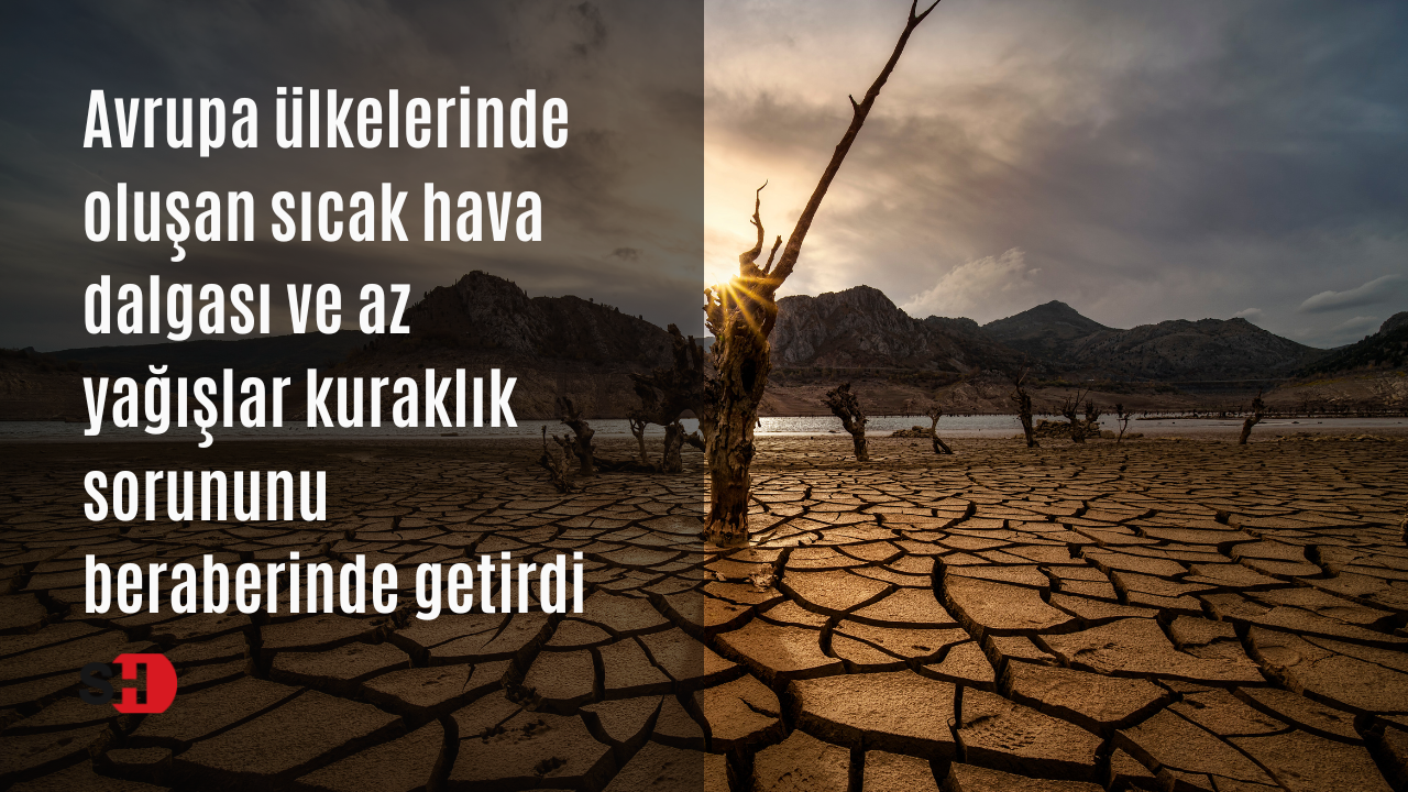 Avrupa ülkelerinde oluşan sıcak hava dalgası ve az yağışlar kuraklık sorununu beraberinde getirdi