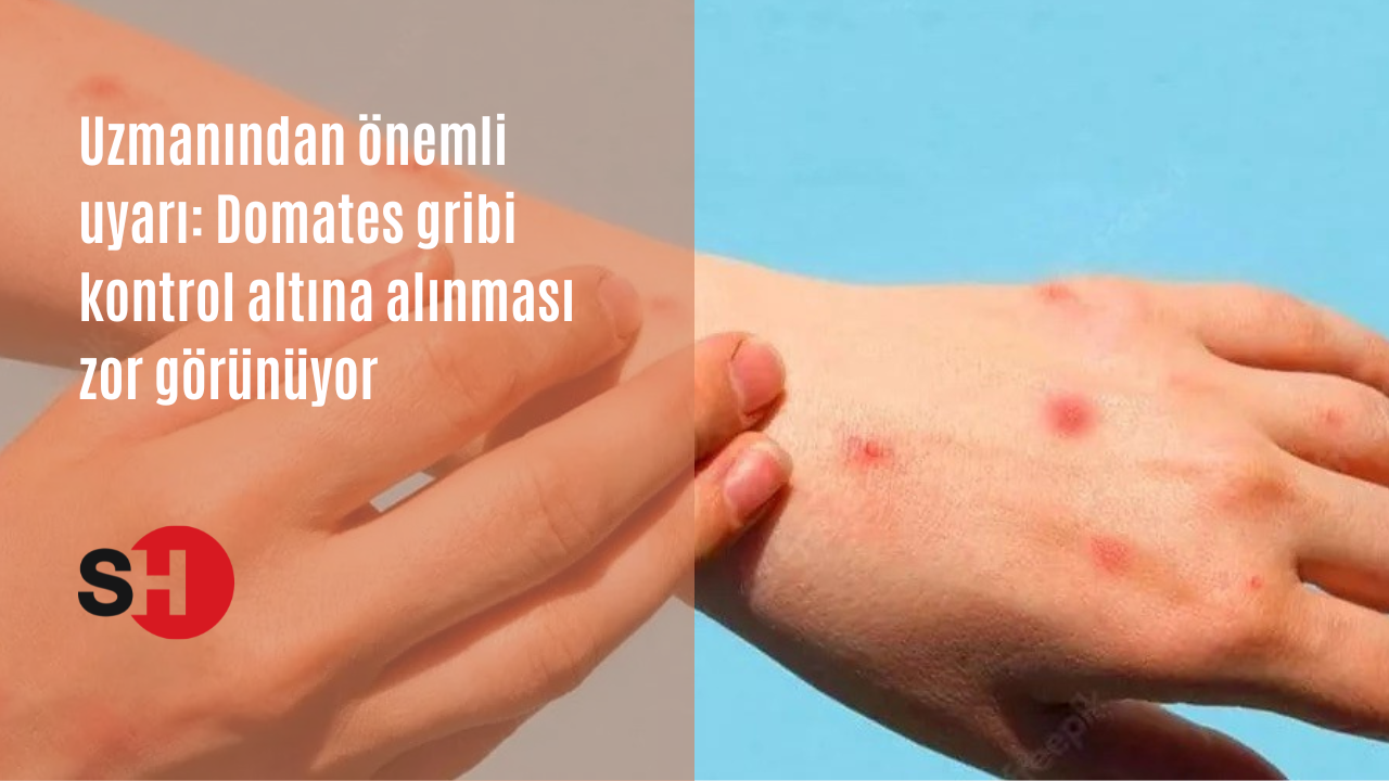 Uzmanından önemli uyarı: Domates gribi kontrol altına alınması zor görünüyor