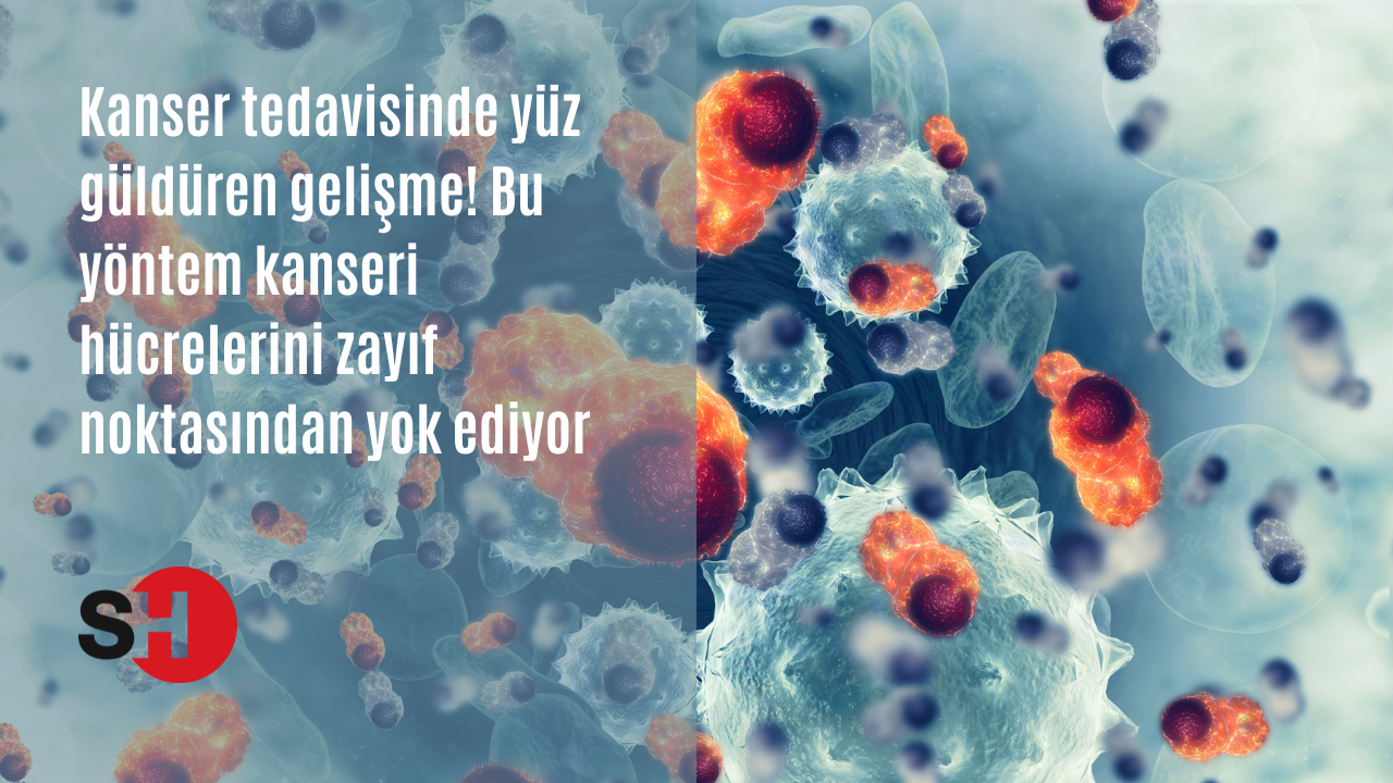 Kanser tedavisinde yüz güldüren gelişme! Bu yöntem kanseri hücrelerini zayıf noktasından yok ediyor