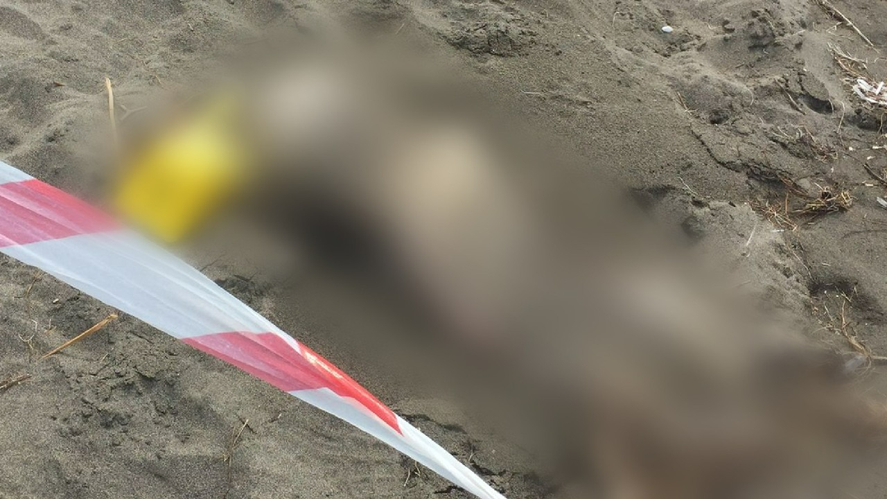 Samsun'da sahilde insan iskeleti bulundu!