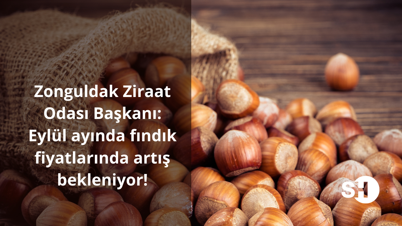 Zonguldak Ziraat Odası Başkanı: Eylül ayında fındık fiyatlarında artış bekleniyor!