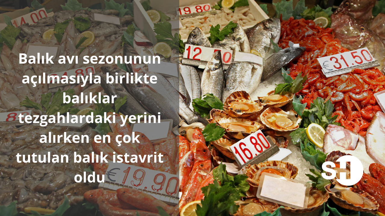 Balık avı sezonunun açılmasıyla birlikte balıklar tezgahlardaki yerini alırken en çok tutulan balık istavrit oldu!