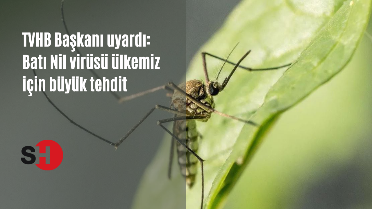 TVHB Başkanı uyardı: Batı Nil virüsü ülkemiz için büyük tehdit