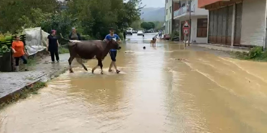 Bartın'da sağanak yağış sele dönüştü, ev ve iş yerlerini su bastı