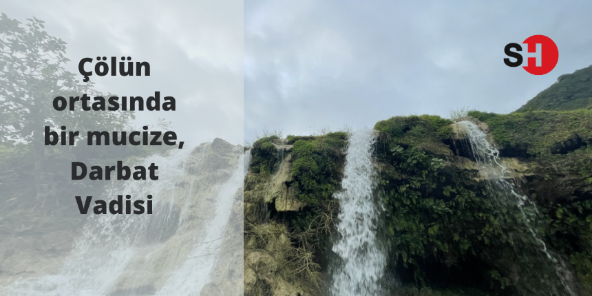 Çölün ortasında bir mucize Darbat Vadisi