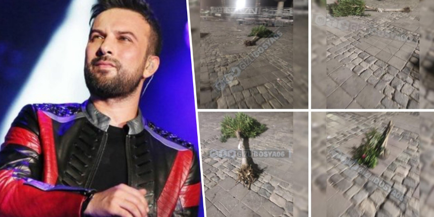 Skandal iddia: Tarkan'ın İzmir'deki konseri için meydandaki ağaçları söktüler!