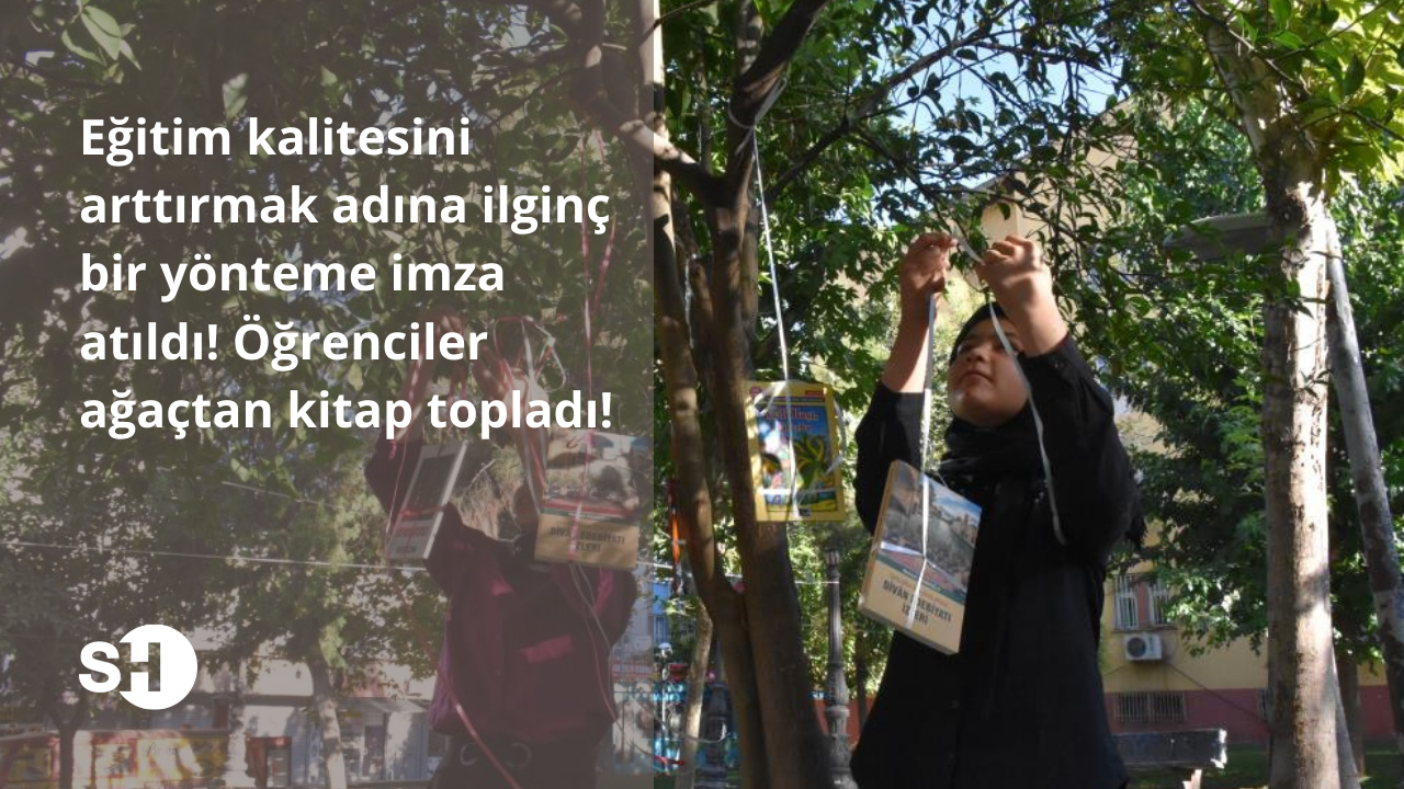 Eğitim kalitesini arttırmak adına ilginç bir yönteme imza atıldı! Öğrenciler ağaçtan kitap topladı!
