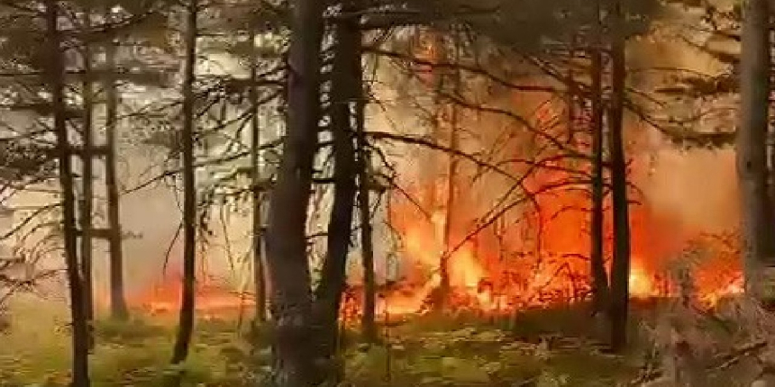 Tokat'ta korkutan orman yangını! Vali'den açıklama geldi