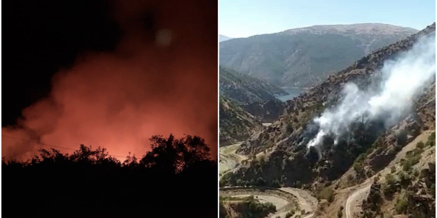 Elazığ'da orman yangını: Havadan ve karadan müdahale sürüyor!
