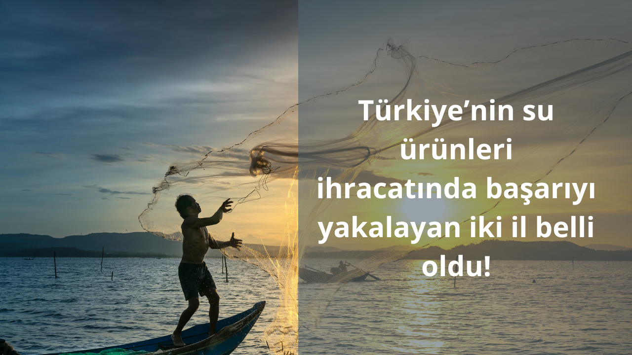 Türkiye’nin su ürünleri ihracatına en büyük katkıyı sağlayan iki il Ege Bölgesi'nden çıktı!