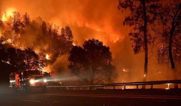 Antalya ve Muğla'da orman yangınlarına dikkat!