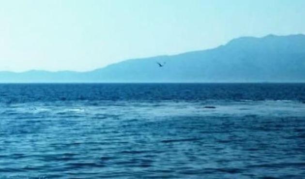 Çanakkale'de korkutan görüntü! Denizin ortasında bir anda belirdi...