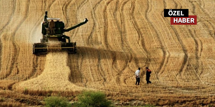 Saman ithal ediyoruz diyenler üzüldü: Tarım grubu, 5 sektörle ihracatta rekora koştu
