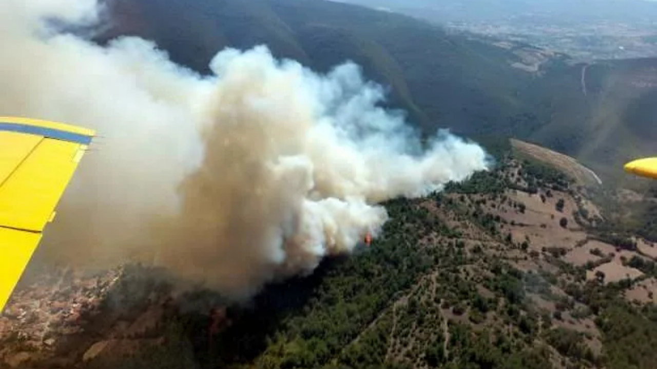 Balıkesir'de orman yangını: Havadan ve karadan müdahale ediliyor!