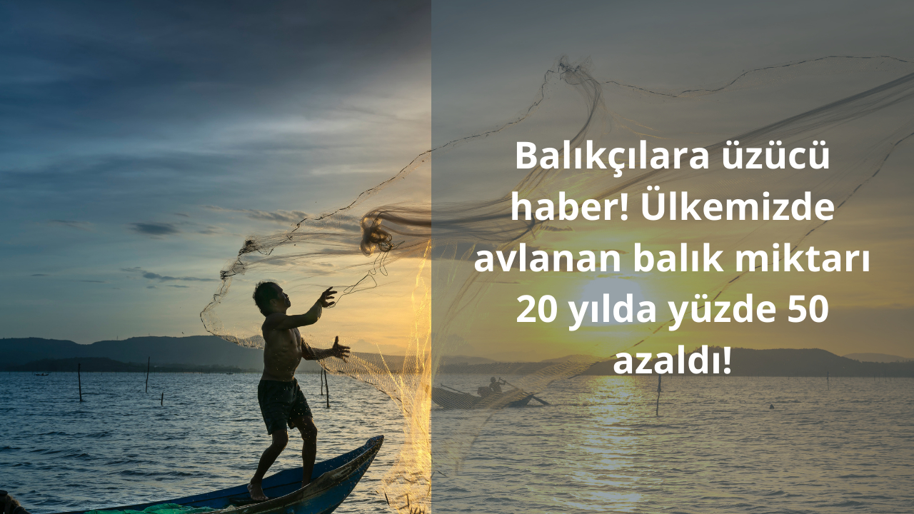 Balıkçılara üzücü haber! Ülkemizde avlanan balık miktarı 20 yılda yüzde 50 azaldı!