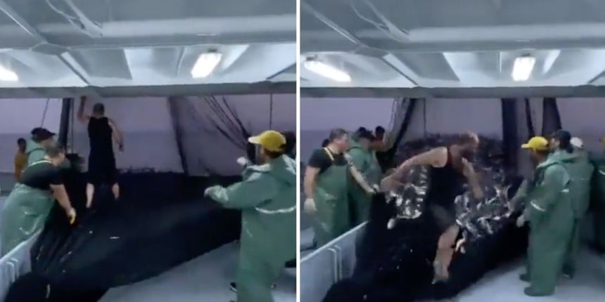 Sosyal medya bu görüntüleri konuşuyor: Denizden palamut fışkırdı! Fiyatlar gittikçe düşüyor...