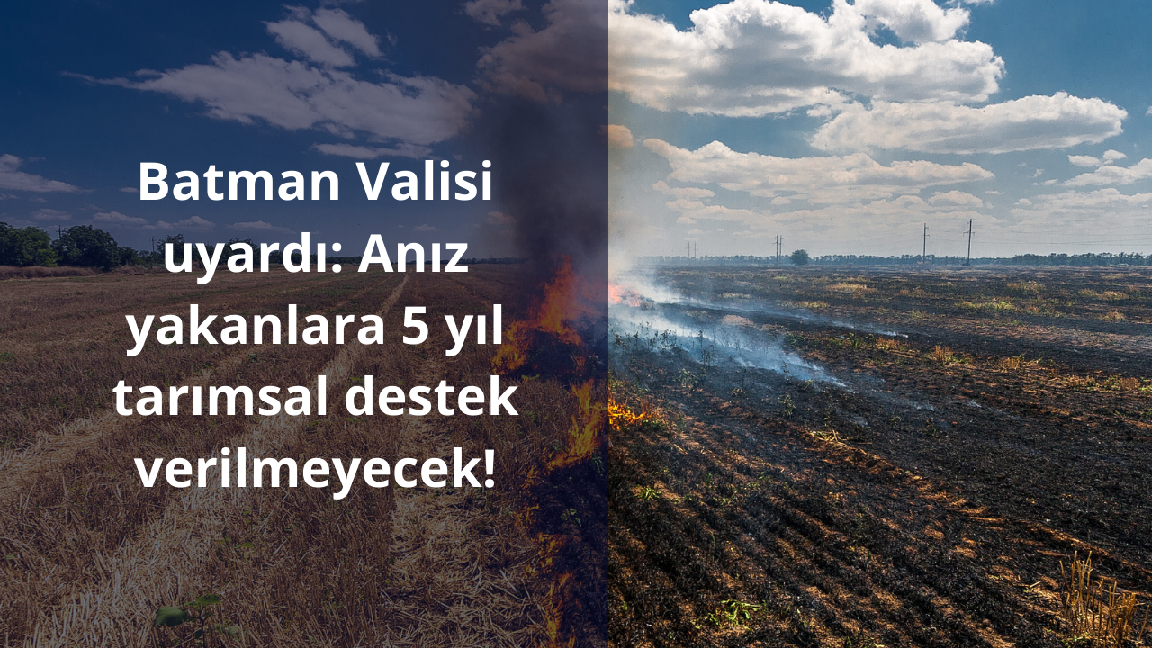 Batman Valisi uyardı: Anız yakanlara 5 yıl tarımsal destek verilmeyecek!
