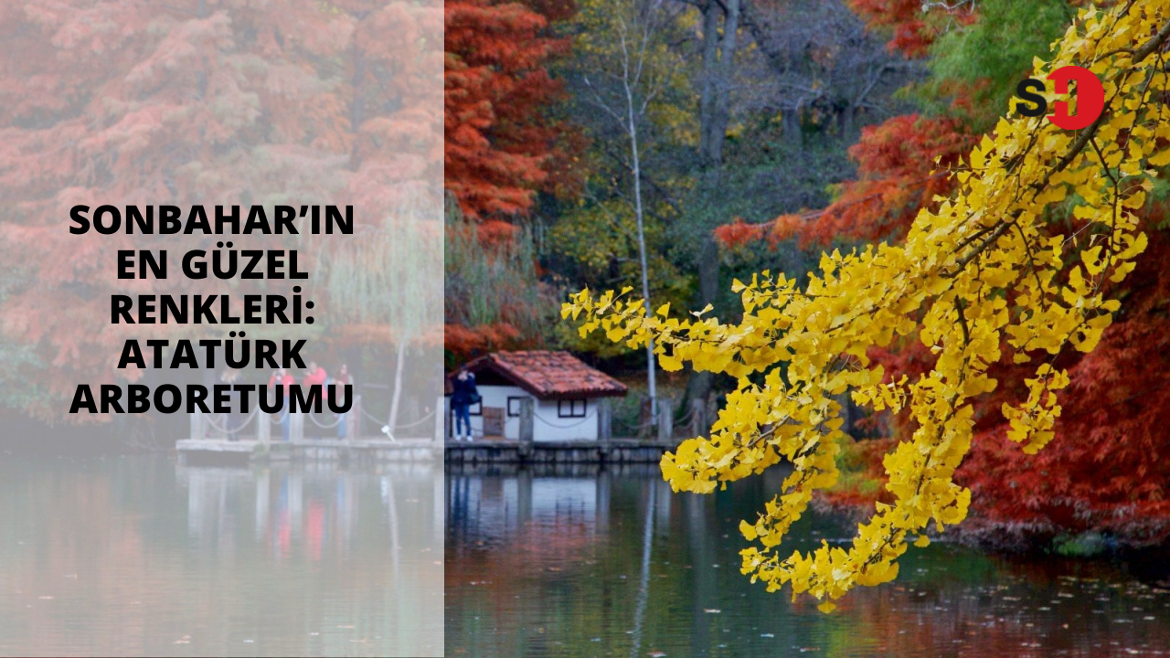 Sonbahar’ın en güzel renkleri: Atatürk Arboretumu