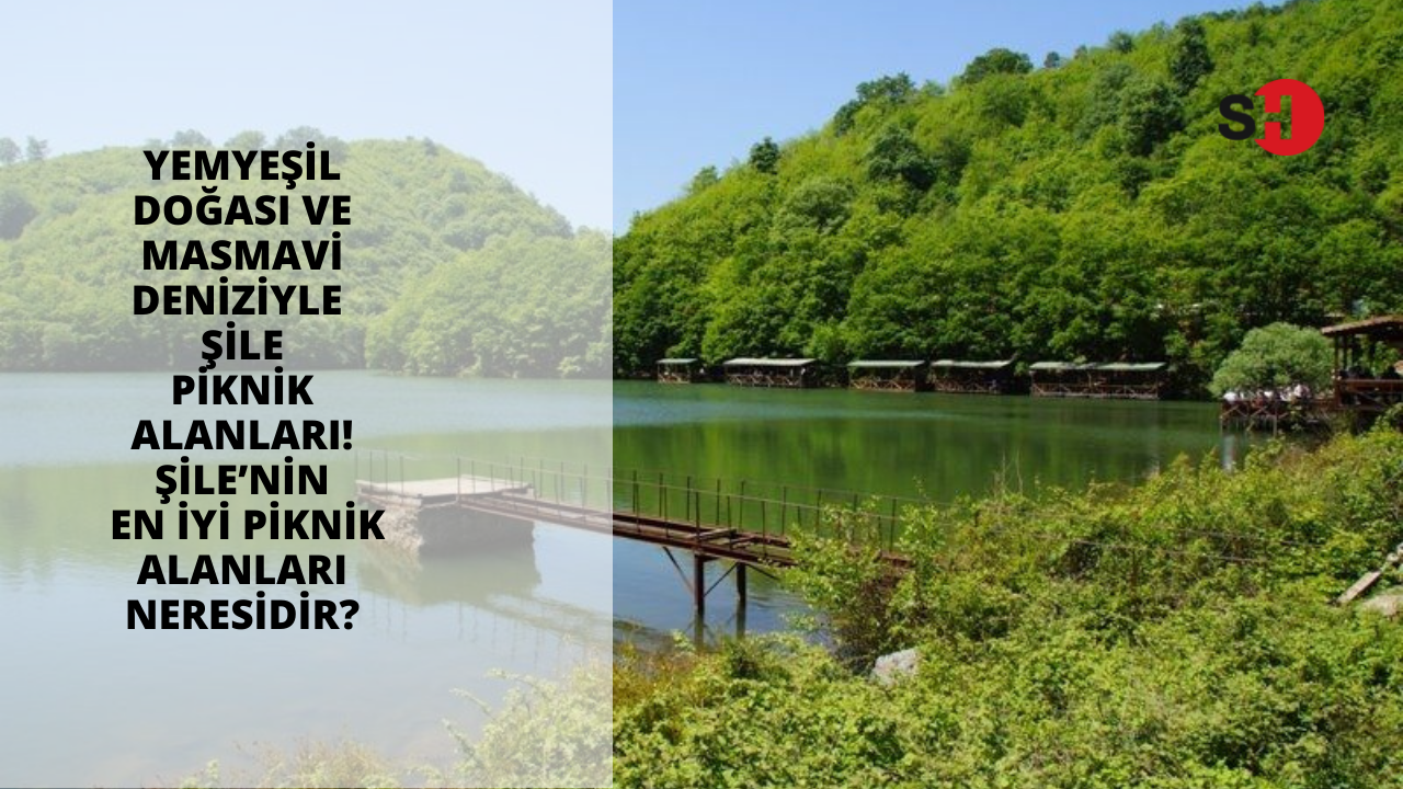 Yemyeşil doğası ve masmavi deniziyle Şile piknik alanları! Şile’de en iyi piknik alanları neresidir?