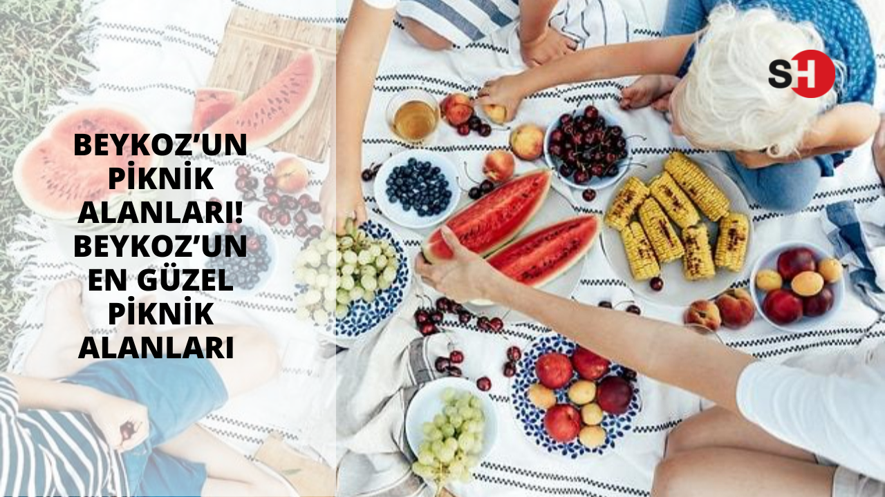 Beykoz piknik alanları: Beykoz’un en güzel piknik alanları