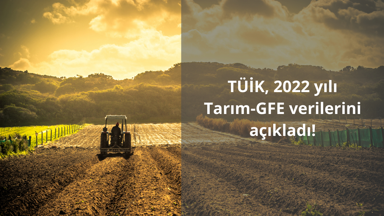 TÜİK, 2022 yılı Tarım-GFE verilerini açıkladı!