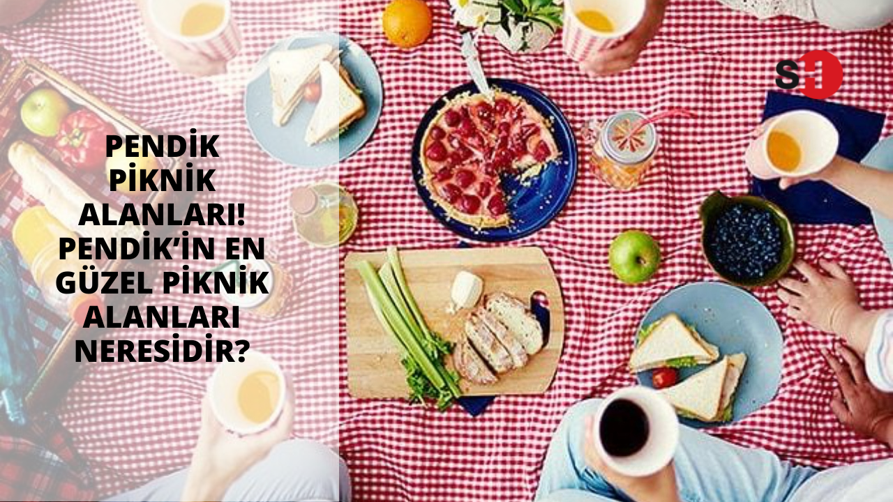 Pendik piknik alanları! Pendik’in en güzel piknik alanları neresidir?
